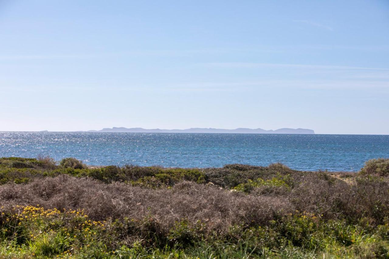 Hébergement de vacances View - Grupo Berna Sa Ràpita